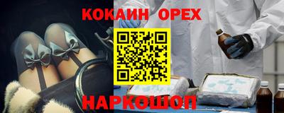гашик Кинель