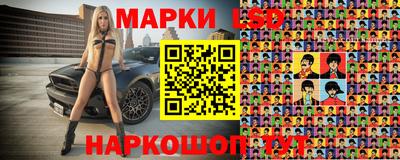 гашик Кинель