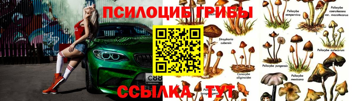 закладки  Вход с VPN  Псилоцибиновые грибы Psilocybine cubensis  Барабинск  Псилоцибиновые грибы Psilocybine cubensis 